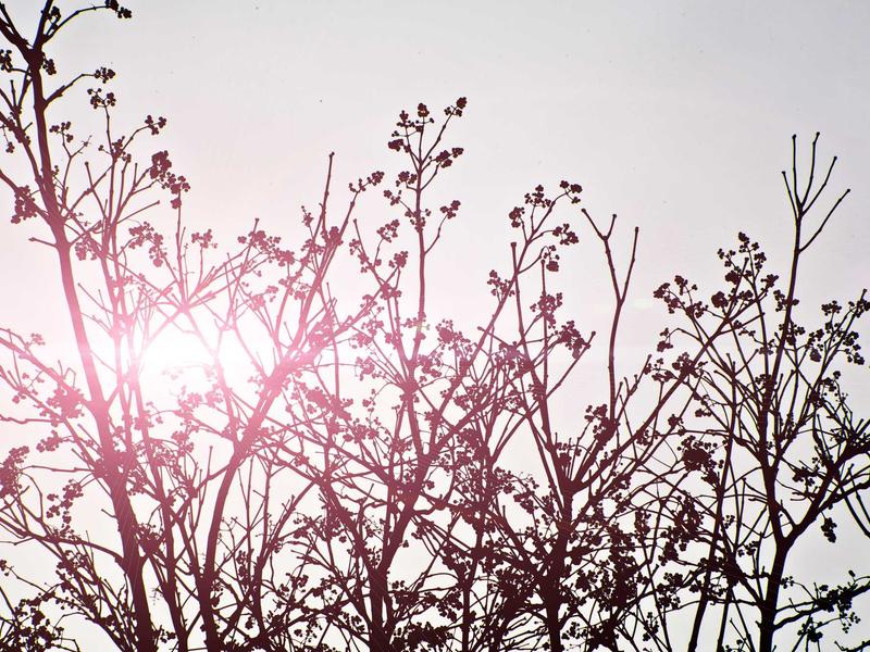 sudoku children puzzle screenshot 1