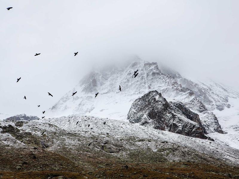 sudoku children puzzle screenshot 5